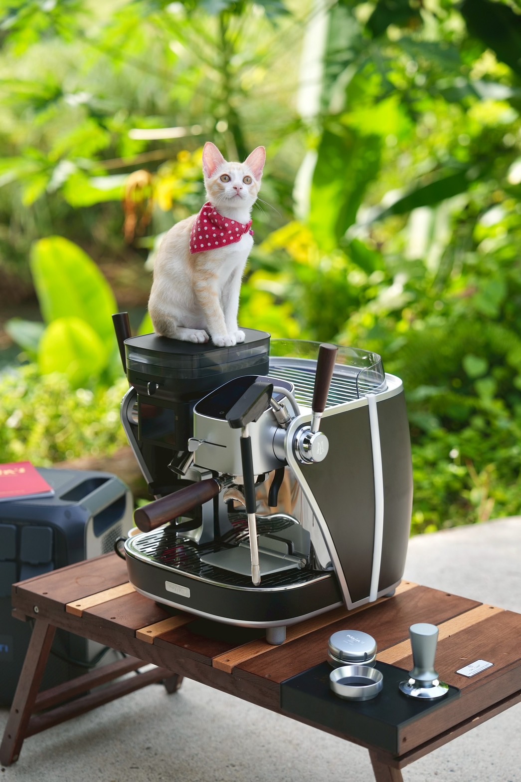 Maxim's La Seine X - Arm Pichit